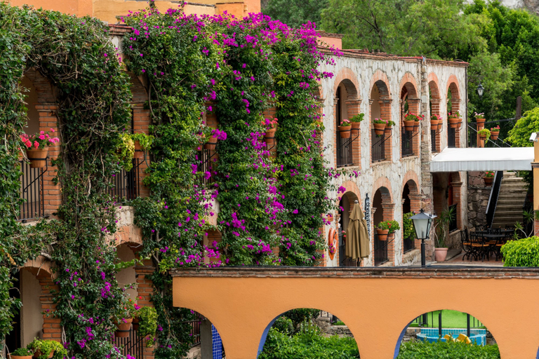Exterior & Views 2, La Abadia Plaza, Guanajuato