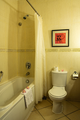 Bathroom 4, Aanari Hotel and Spa, Black River
