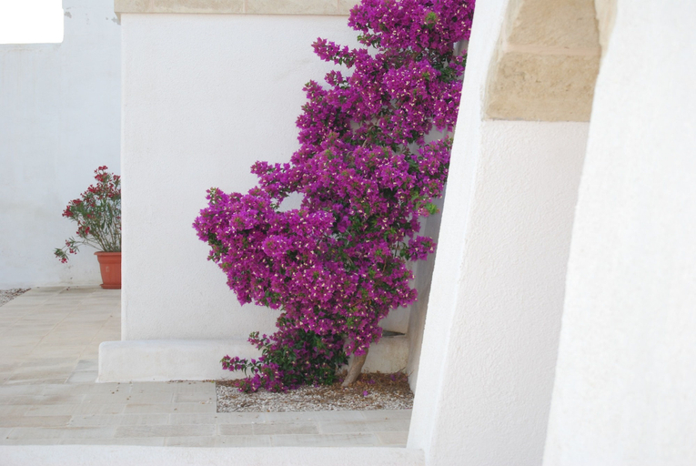 Others 5, Terra di Leuca, Lecce