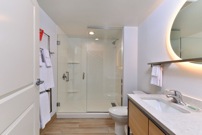 Bathroom 5, TownePlace Suites by Marriott Asheville Downtown, Buncombe
