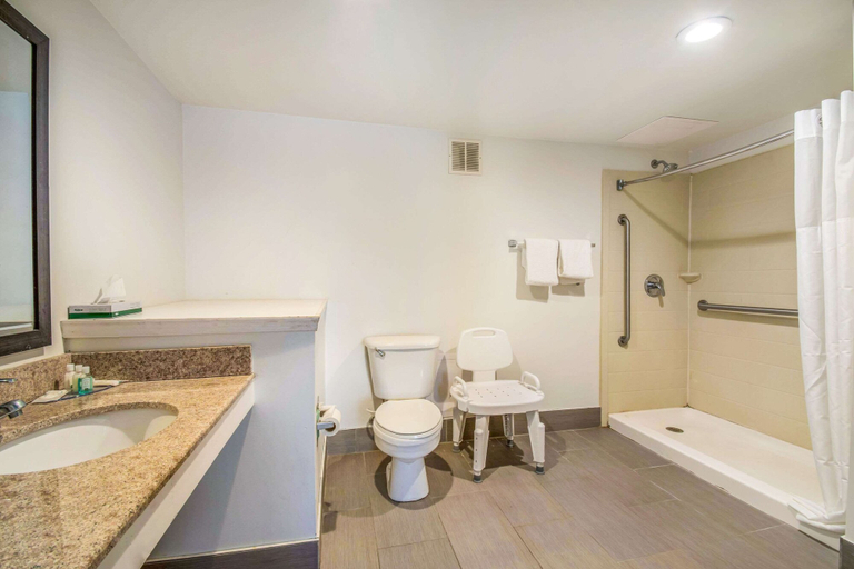 Bathroom 4, Quality Inn & Suites York East, York