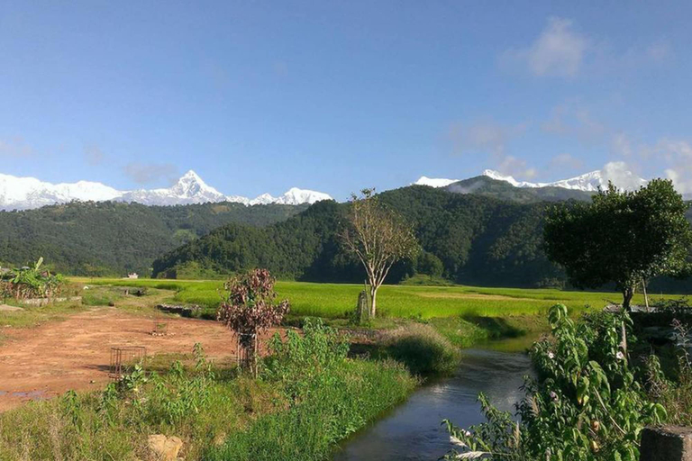 Others 3, Hotel Highland Comfort, Gandaki