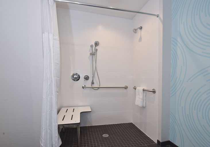 Bathroom 4, Tru by Hilton Lawrence, Douglas