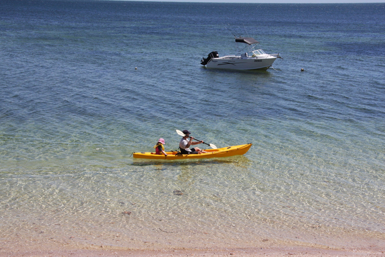 Others 5, Peter's Port, Yorke Peninsula - North
