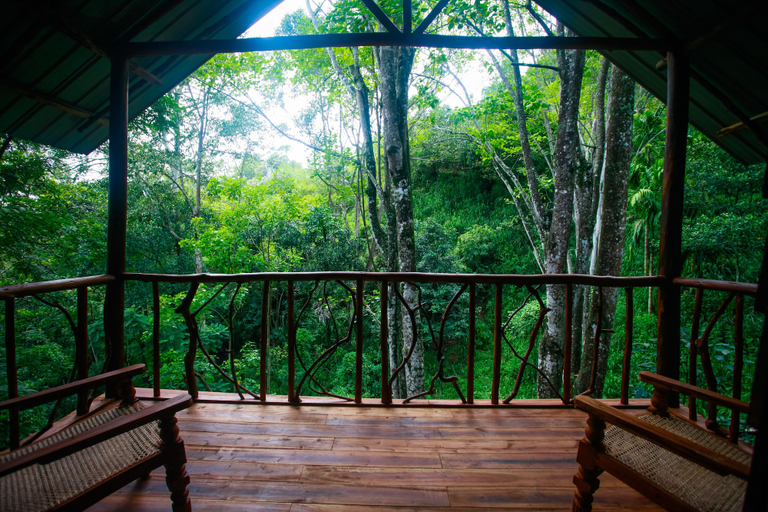 Others 5, Ella Eco Lodge, Ella