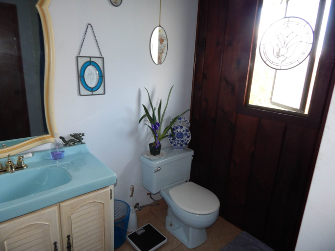 Bathroom 4, Fern Forest Getaway, Hawaii