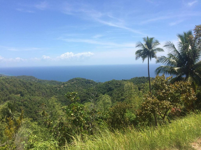 Others 5, New Village Lodge, Oslob