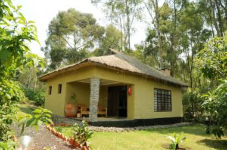 Others 1, Da Vinci Gorilla Lodge, Musanze