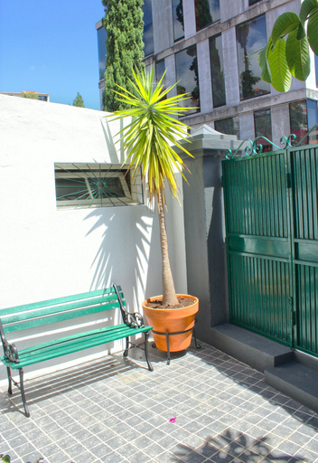 Others 5, The House, Funchal