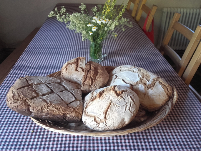 Food & Drinks 5, Alberg Rural El Negre - Hostel, Girona