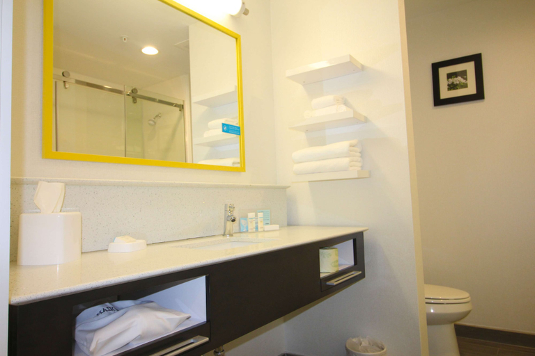 Bathroom 5, Hampton Inn West Plains, Howell