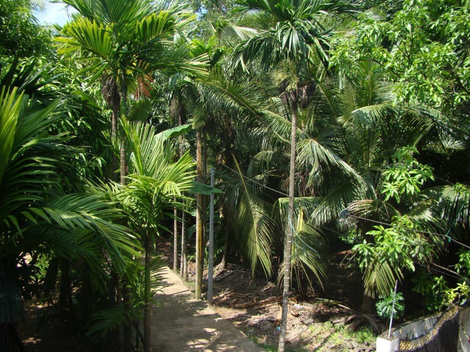 Others 5, Bentota Dilu Villa, Beruwala
