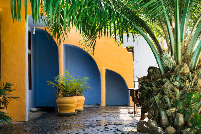 Exterior & Views, Condo las Palmas