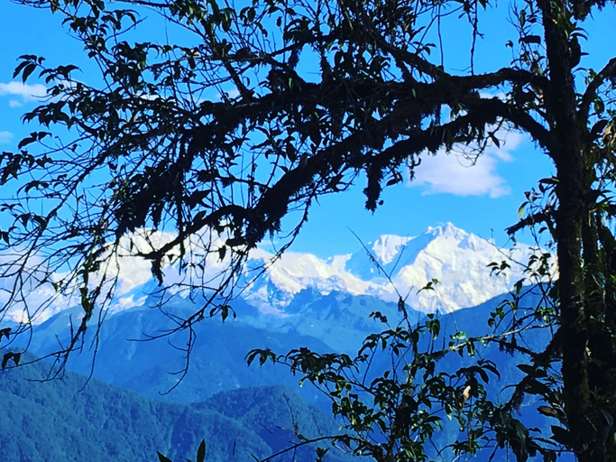 Others 4, Mochilero Ostello, West Sikkim