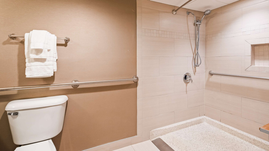 Bathroom 4, Best Western Premier The Central Hotel & Conference Center, Dauphin