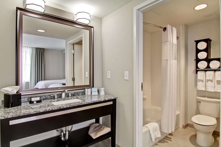 Bathroom 4, Hampton Inn & Suites Cincinnati-Downtown, Hamilton