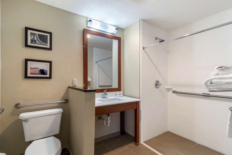 Bathroom 5, Comfort Inn & Suites - near Robins Air Force Base Main Gate, Houston