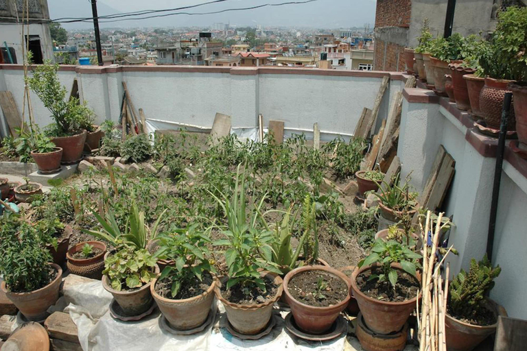 Others 4, Magic Nepal Homestay, Bagmati