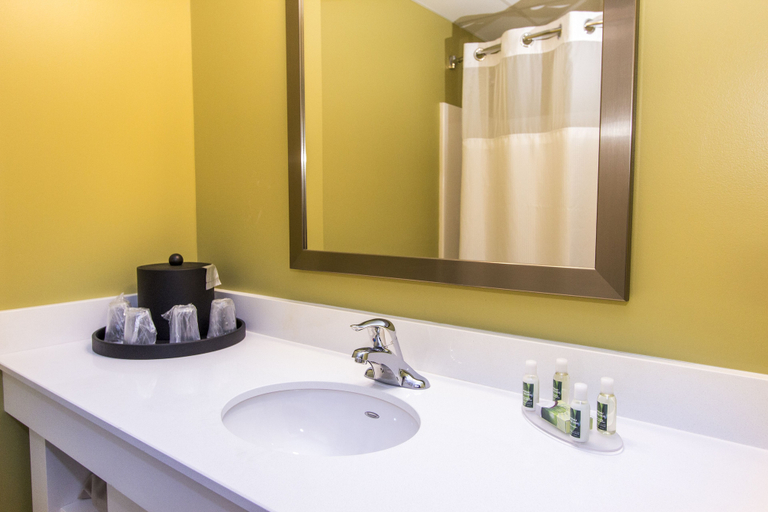 Bathroom 4, Cedar Point's Express Hotel, Erie