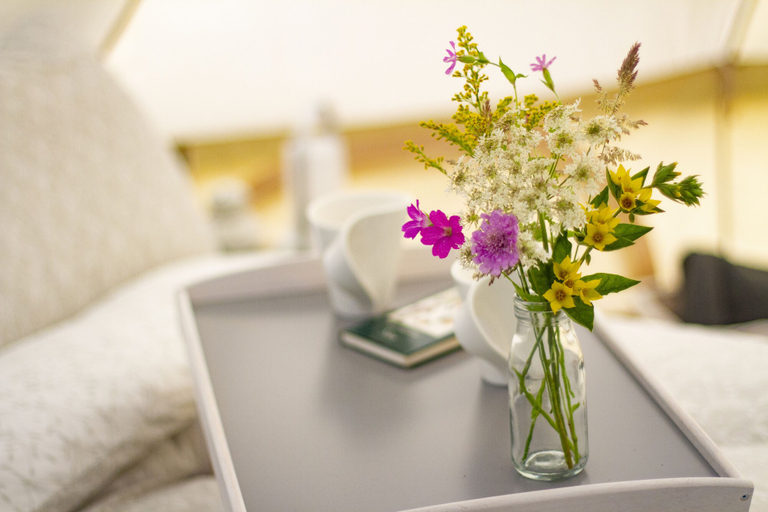 Bedroom 3, Lloyds Meadow Glamping Delamere Chester, Cheshire West and Chester