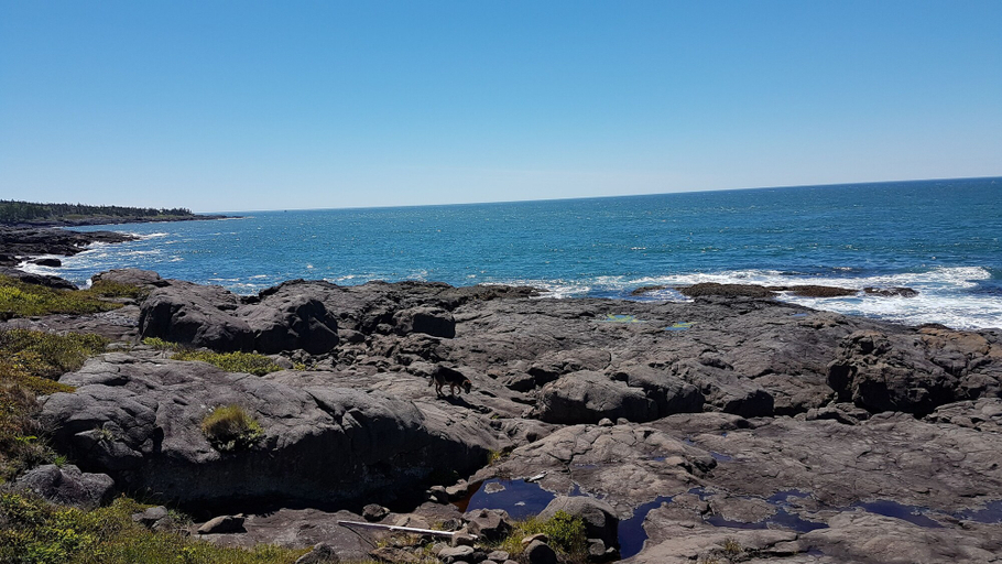Others 5, Whale Cove suites, Digby