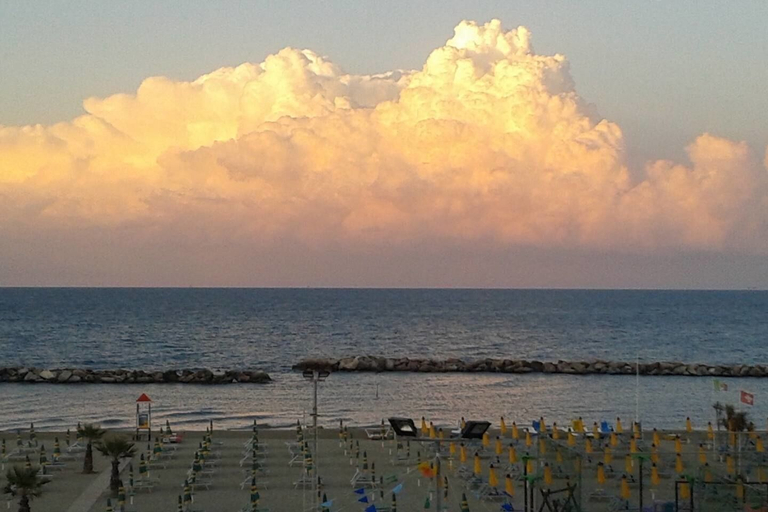 Others 4, Hotel Riccardi, Rimini
