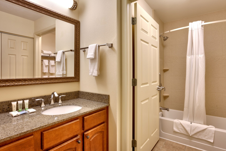 Bathroom 4, Staybridge Suites OMAHA 80TH AND DODGE, Douglas
