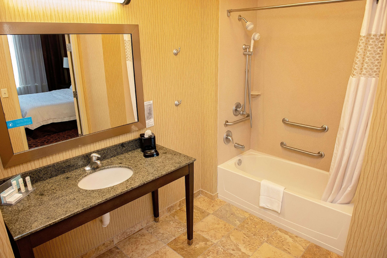 Bathroom 4, Hampton Inn & Suites Bradenton Downtown Historic District, Manatee