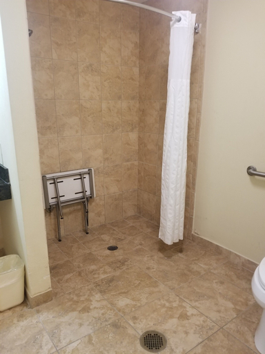 Bathroom 4, Comfort Suites Valdosta Mall Area, Lowndes