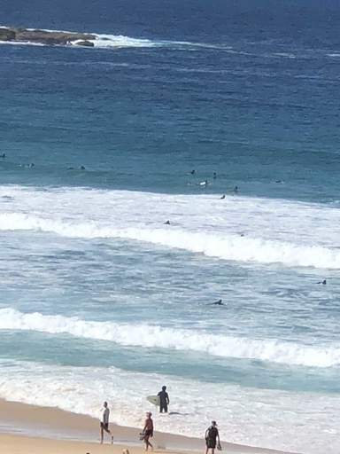 Others 5, Bondi 38 Serviced Apartments, Sydney