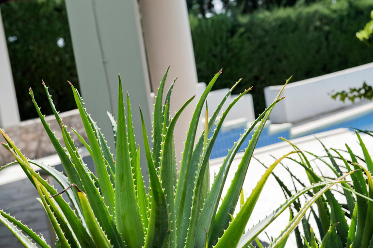 Sport & Beauty 5, Villa Aurea, Ragusa