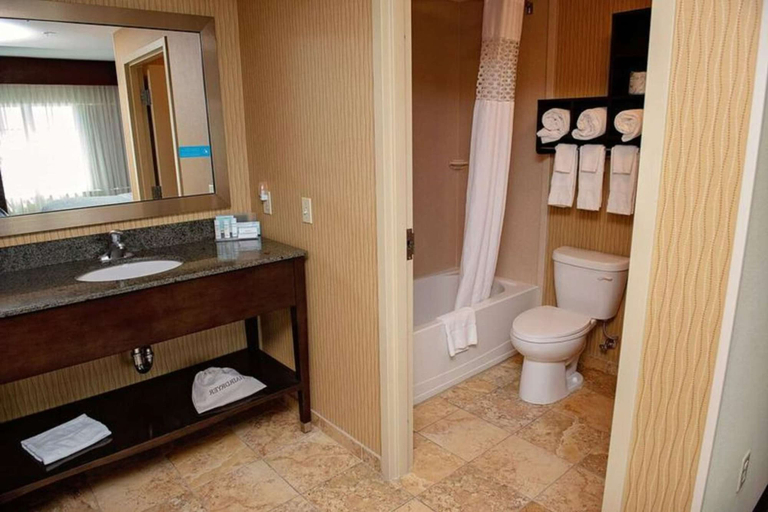 Bathroom 4, Hampton Inn & Suites Bradenton Downtown Historic District, Manatee