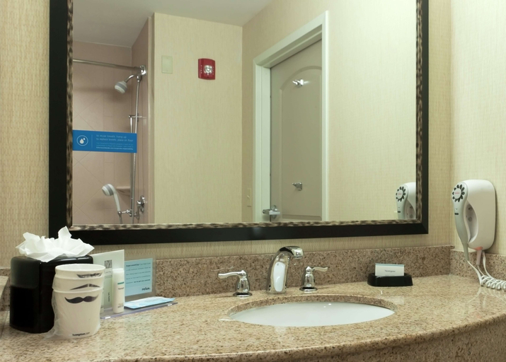 Bathroom 5, Hampton Inn North Brunswick / New Brunswick, Middlesex