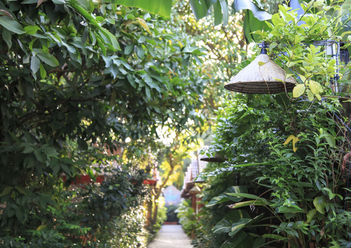 Others 5, Cosy Bungalow Phu Quoc, Phú Quốc