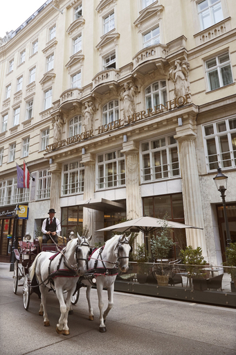 Exterior & Views 2, Steigenberger Hotel Herrenhof, Wien