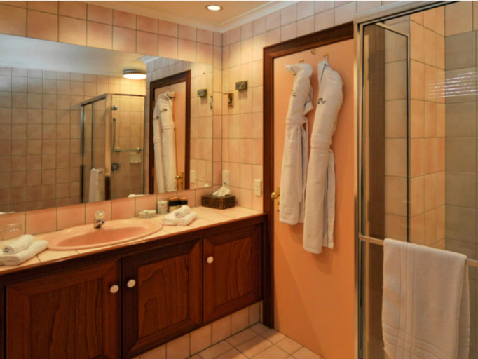 Bathroom 4, Lake Taupo Lodge, Taupo