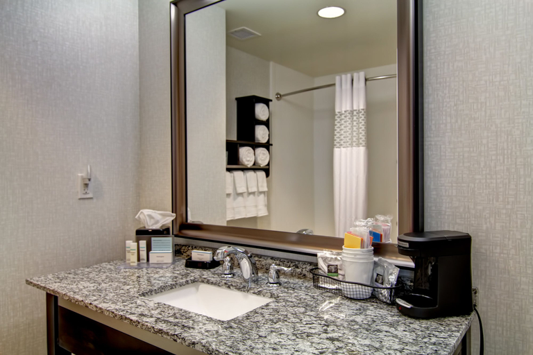 Bathroom 4, Hampton Inn & Suites Cincinnati-Downtown, Cincinnati
