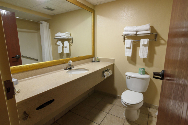 Bathroom 4, Hotel M Mount Pocono, Monroe