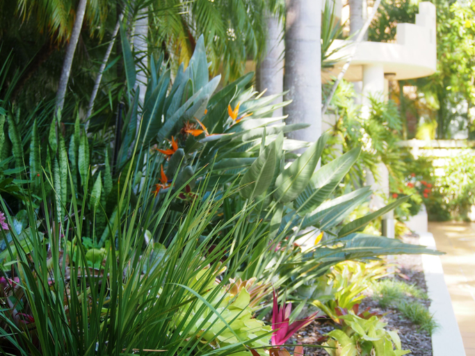 Others 5, Mirra Chana, Maroochy - Mooloolaba