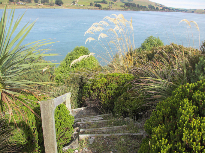 Others 4, Catlins Lake Sanctuary, Clutha