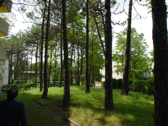 Others 5, Lignano, Udine