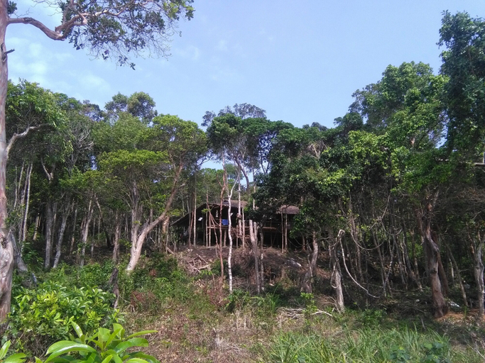 Others 5, Driftwood Hostel and Bungalows, Sihanoukville