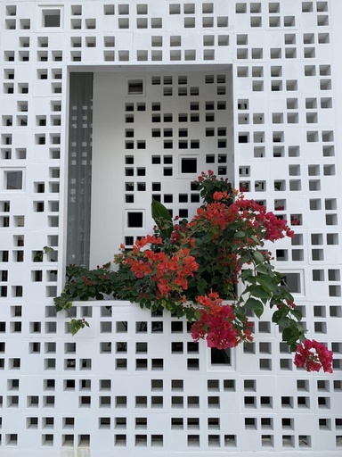 Exterior & Views 2, La An Homestay, Da Nang