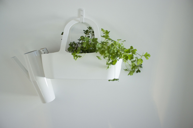Bathroom 3, Casa dos Aromas, Évora