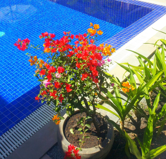 Sport & Beauty 4, Dream Mango Villa, Siem Reap