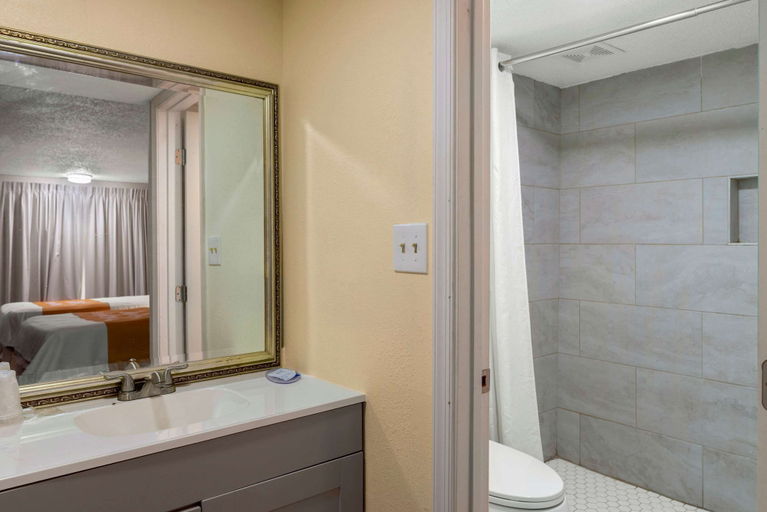 Bathroom 4, Rodeway Inn Colonial Heights I-95, Chesterfield