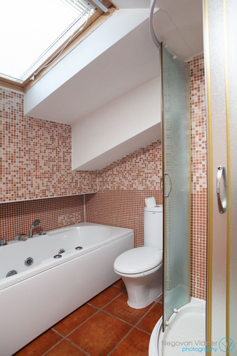 Bathroom 5, Vila Senjak, Belgrade