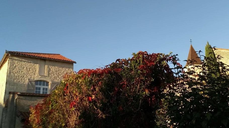 Exterior & Views, Chambres d'Hôtes Maison Saint Privat, Lot