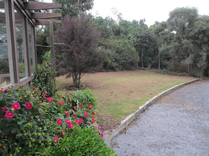 Others 5, Catlins Lake Sanctuary, Clutha