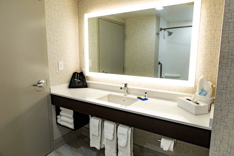 Bathroom 4, Holiday Inn Express COLUMBUS - DUBLIN by IHG, Franklin